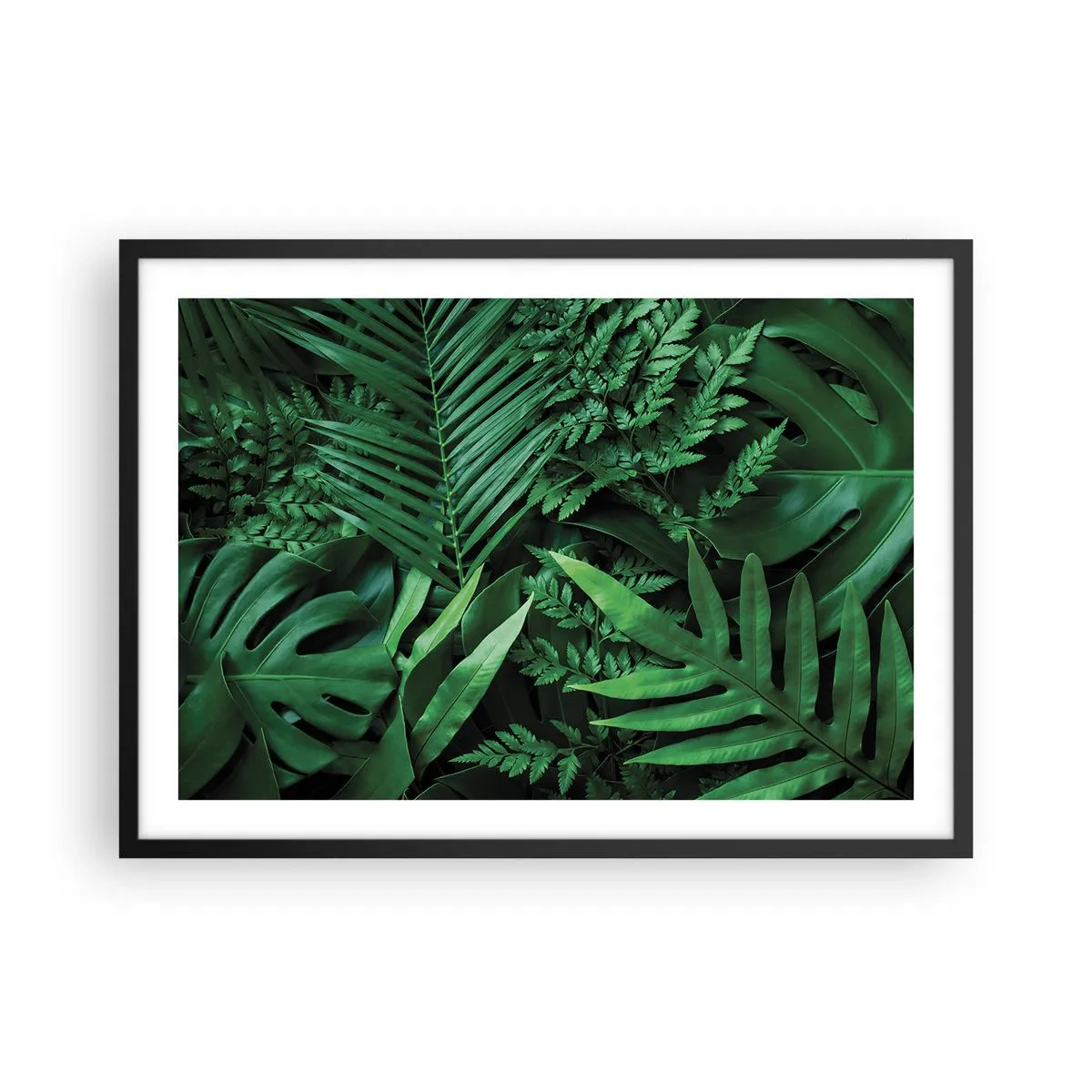 Poszter fehér keretben - Összebújva a zöldben - 70x50 cm