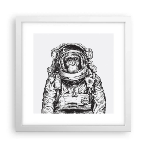 Poszter fekete keretben - Alternatív evolúció - 30x30 cm