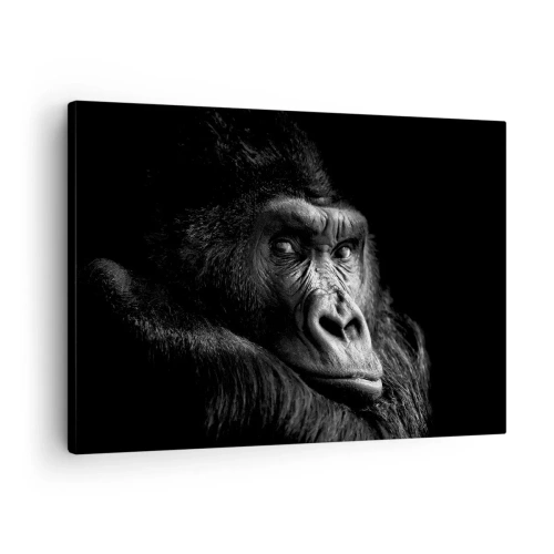 Vászonkép - Fekete-fehér portré egy fenséges gorilla - 70x50cm - Mit bámulsz? - Modern fali dekoráció nappalihoz és hálószobához ARTTOR