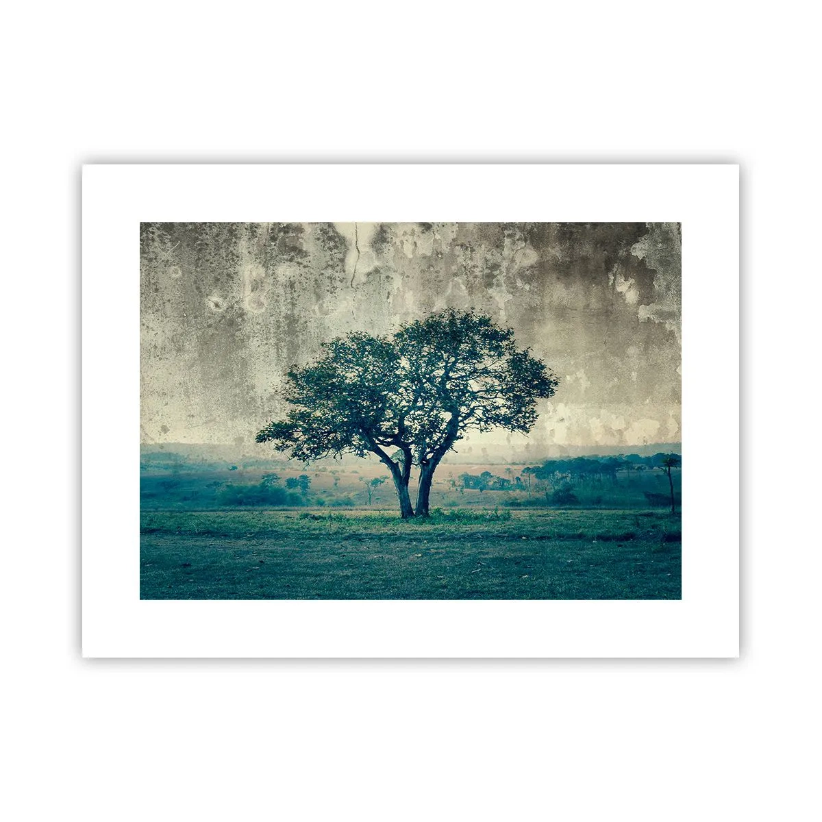 Poszter - Almafa a kék mezőn? - 40x30 cm