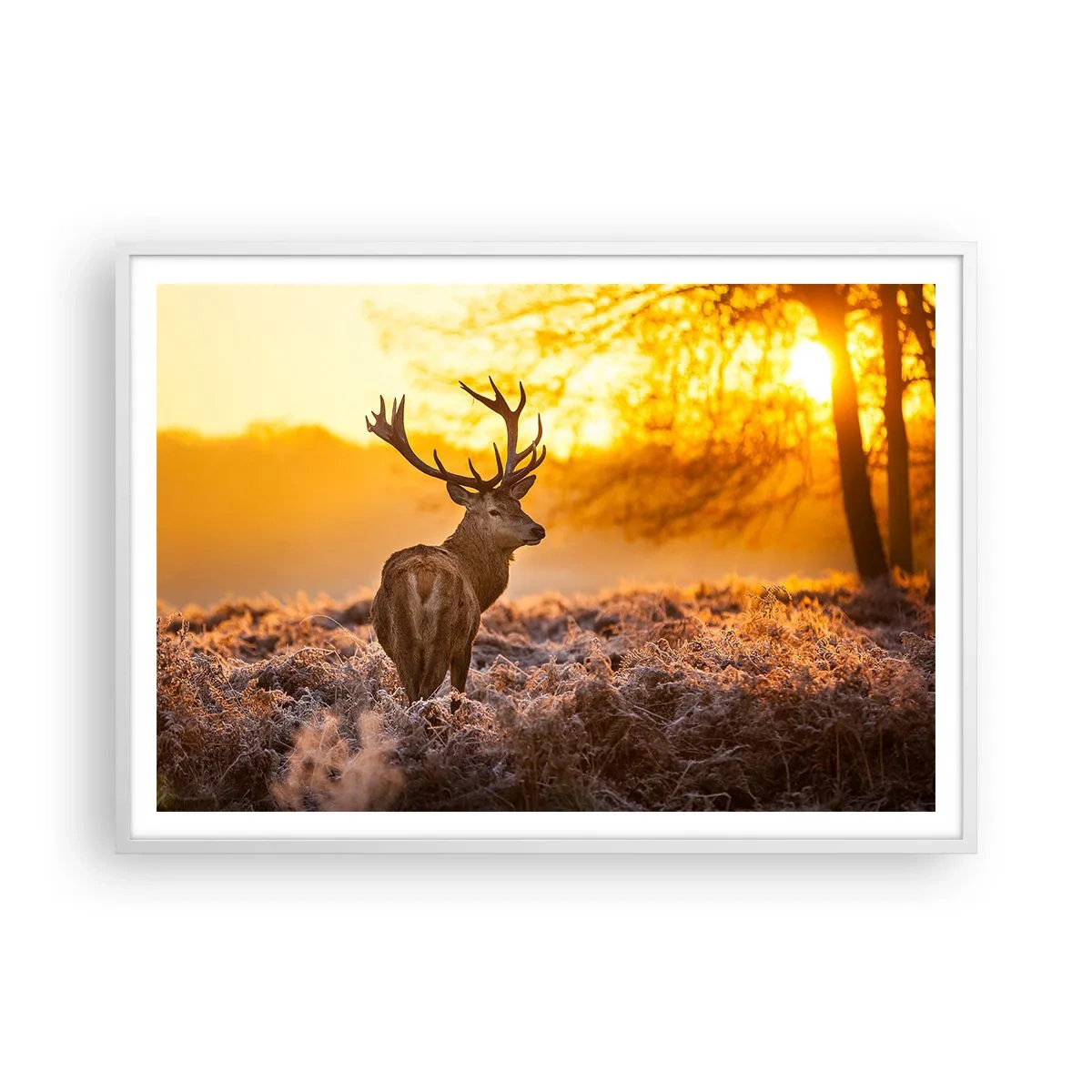 Poszter fekete keretben - Az őszi erdő királya - 100x70 cm