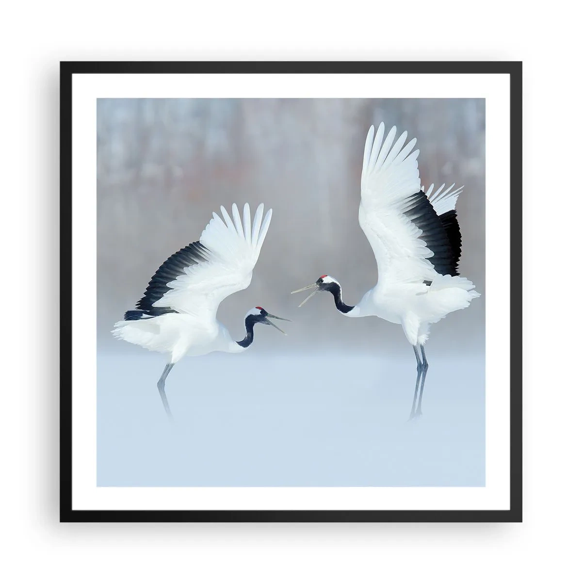 Poszter fehér keretben - Tánc a ködben - 60x60 cm