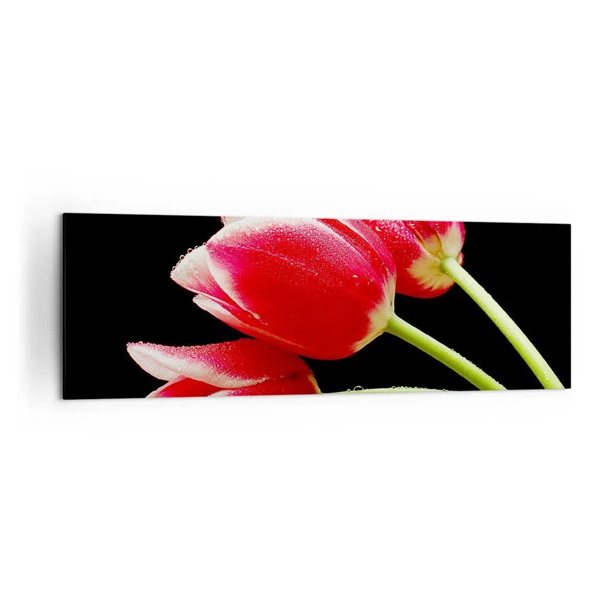 Vászonkép - A tiszta szerelem ígérete - 160x50 cm