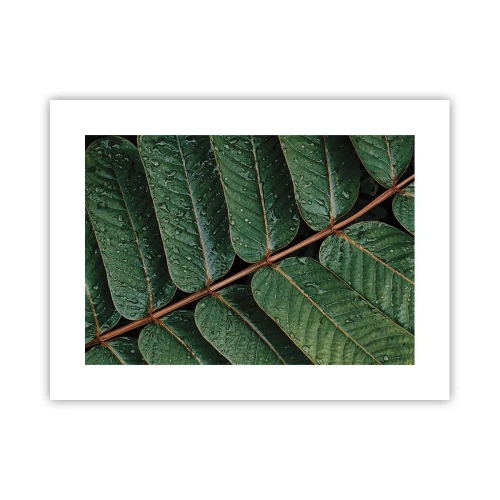 Poszter - Zöld ritmusban - 40x30 cm