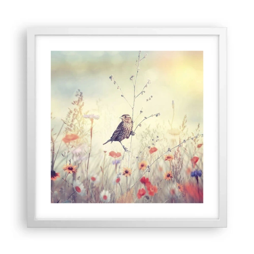 Poszter fekete keretben - Madárportré egy réttel a háttérben - 40x40 cm