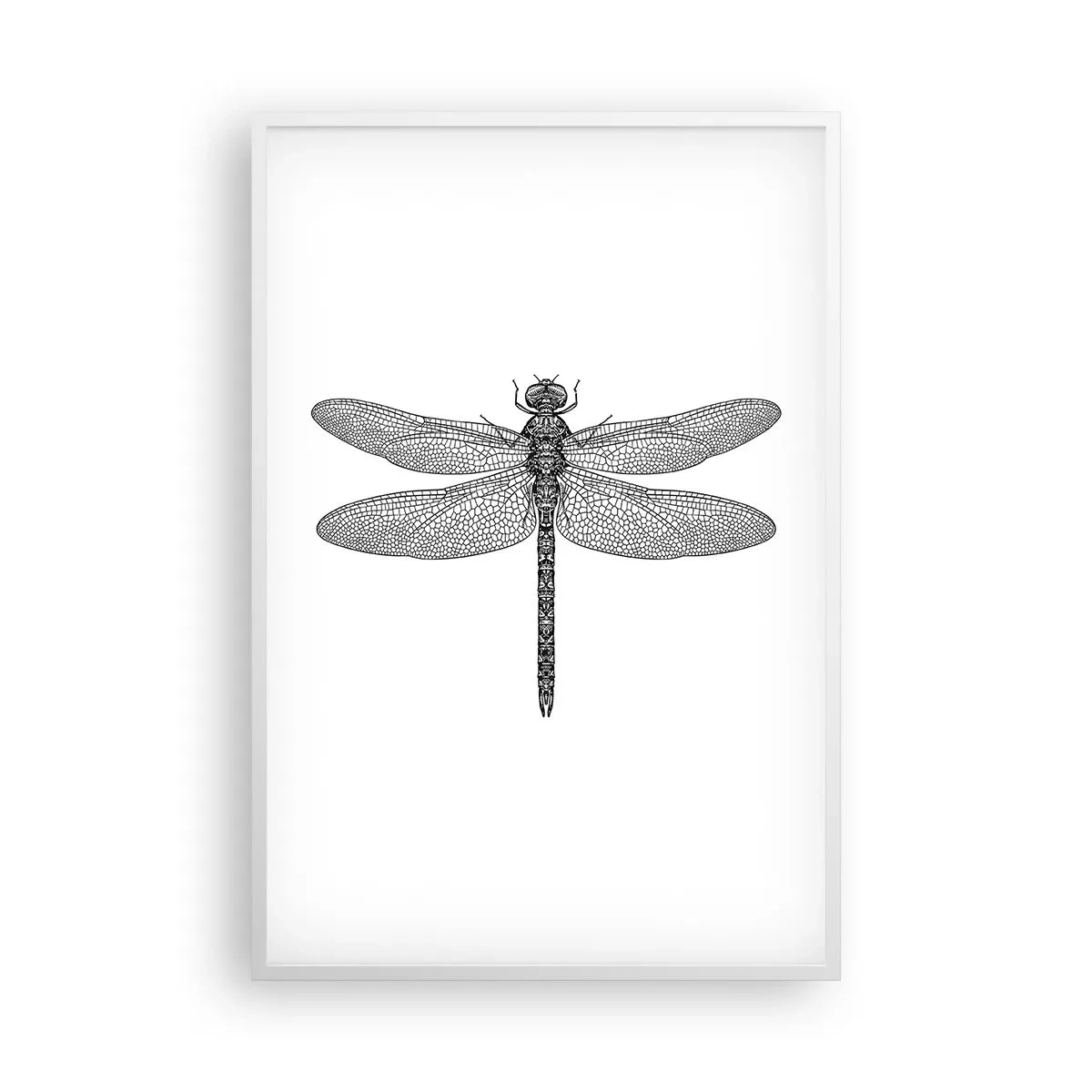 Poszter fekete keretben - A természet precizitása - 61x91 cm