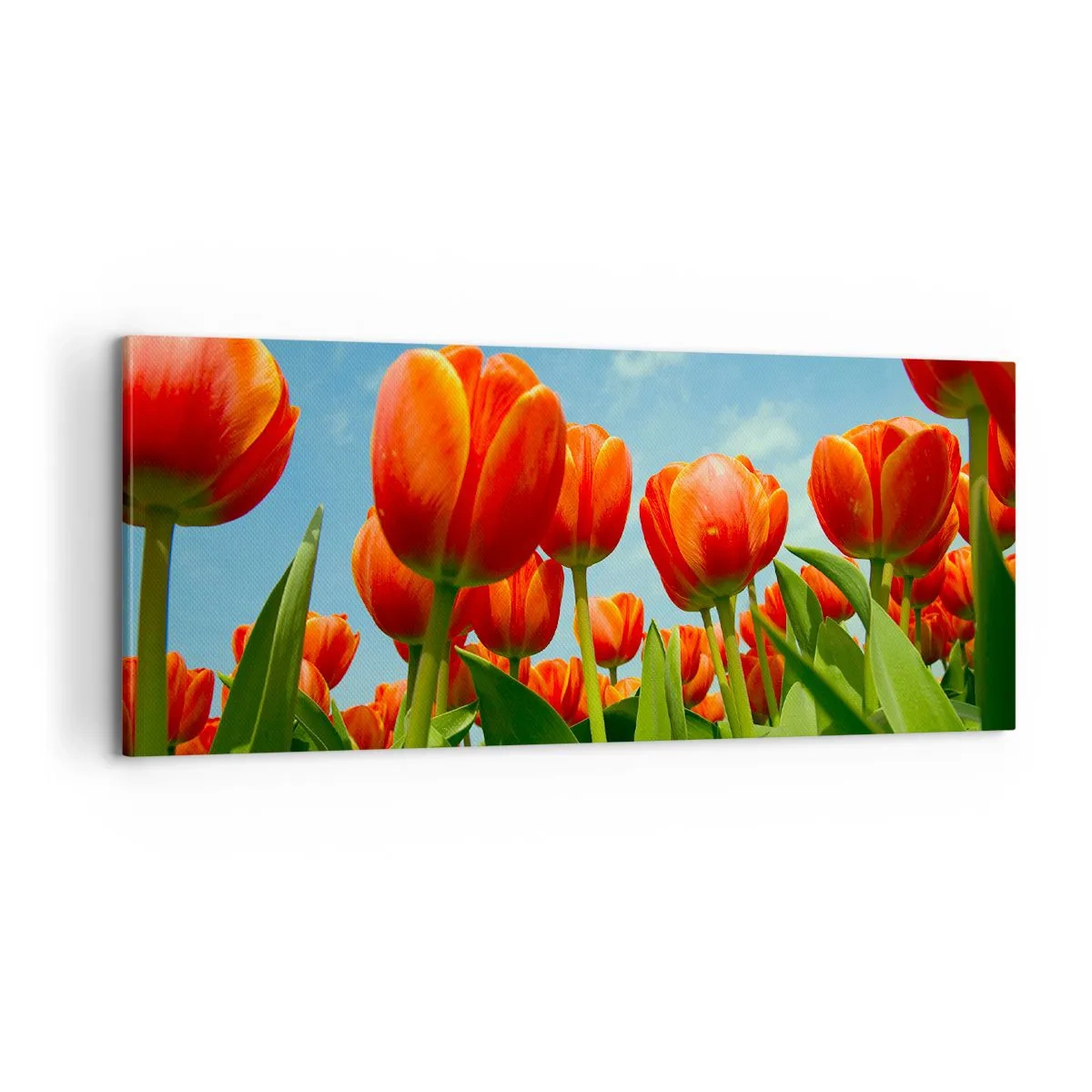 Vászonkép - A kék égen kívül semmire sincs szükségük az életükben - 100x40 cm