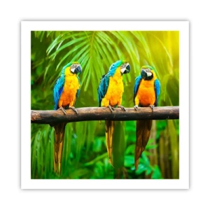 Poszter - És hallottad, hogy ő…? - 60x60 cm