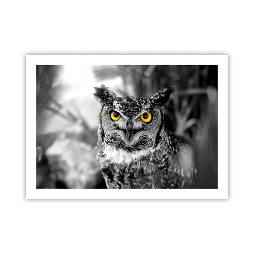 Poszter - Semmi sem fog elbújni - 70x50 cm