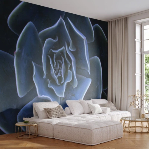 Fotótapéta Premium Sand - A sivatag virága - Agave virág, Virág, Természet - 250x175 cm