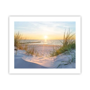 Poszter - A tenger hangja, a madarak éneke, egy vad tengerpart a fű között... - 50x40 cm