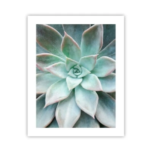 Poszter - A sivatag szíve - 40x50 cm