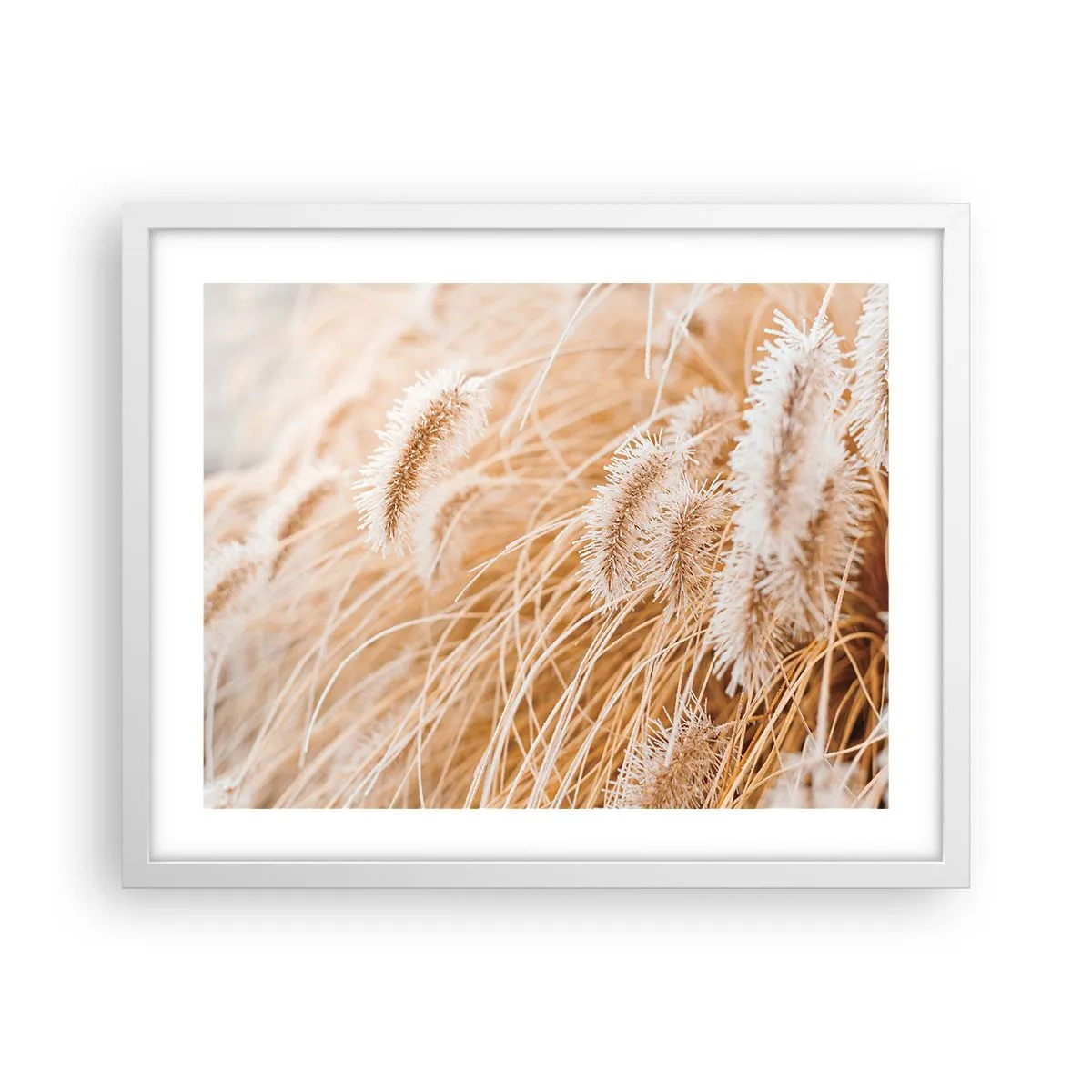 Poszter fekete keretben - A fű arany susogása - 50x40 cm