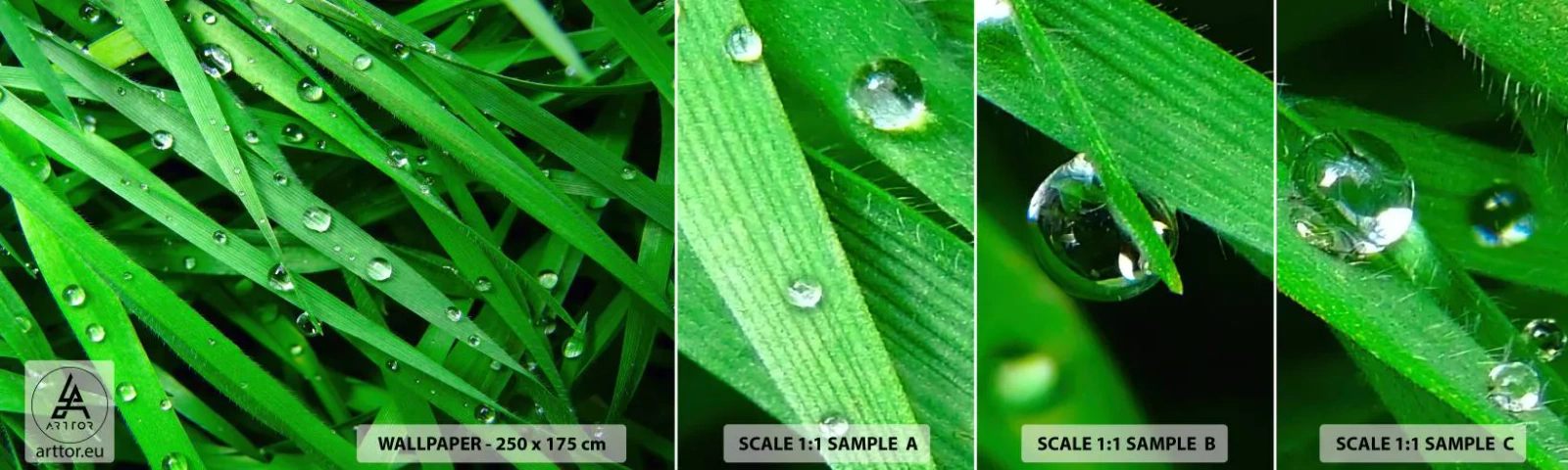 Fotótapéta Minta Standard Eco - Játssz zöldet - Természet, Zöld fű, Kert - 100x30 cm