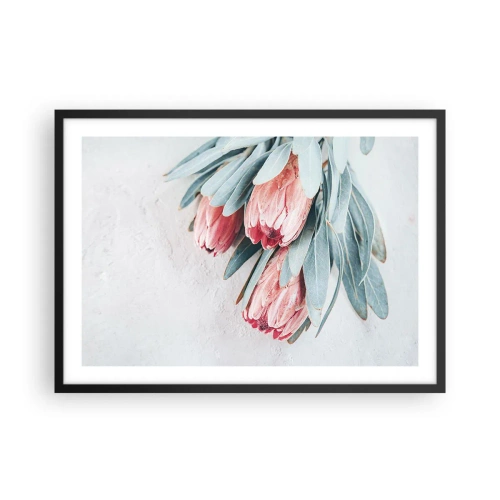 Poszter fehér keretben - Szégyellve saját szépségüket - 70x50 cm