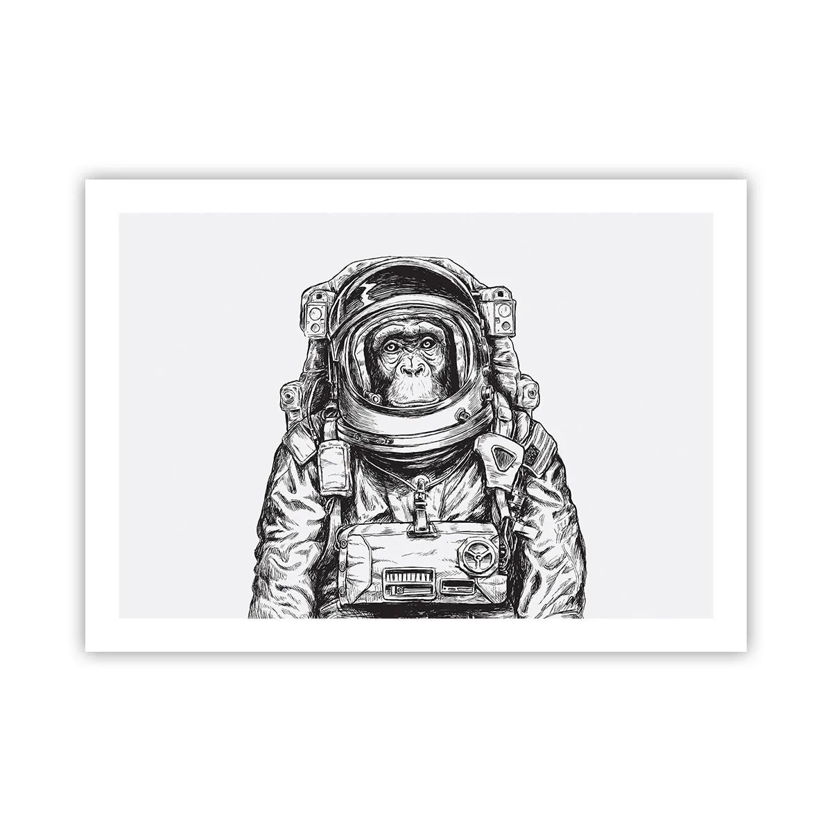 Poszter - Alternatív evolúció - 70x50 cm