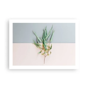 Poszter - Pasztell finomság - 70x50 cm