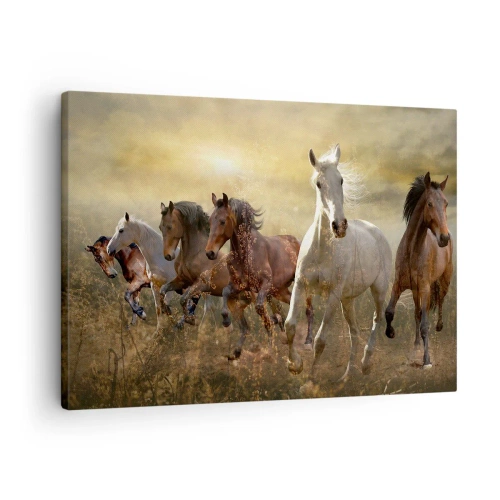 Vászonkép - Egy csapat vágtató ló a lenyugvó nap hátterében - 70x50cm - Éljen a szabadság! - Modern fali dekoráció nappalihoz és hálószobához ARTTOR