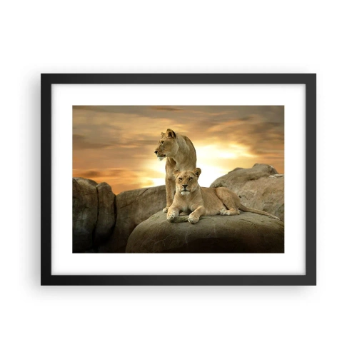 Poszter fehér keretben - Királyi felség - 40x30 cm