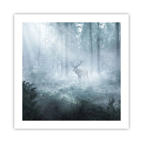 Poszter - Reggeli birtokellenőrzés - 50x50 cm