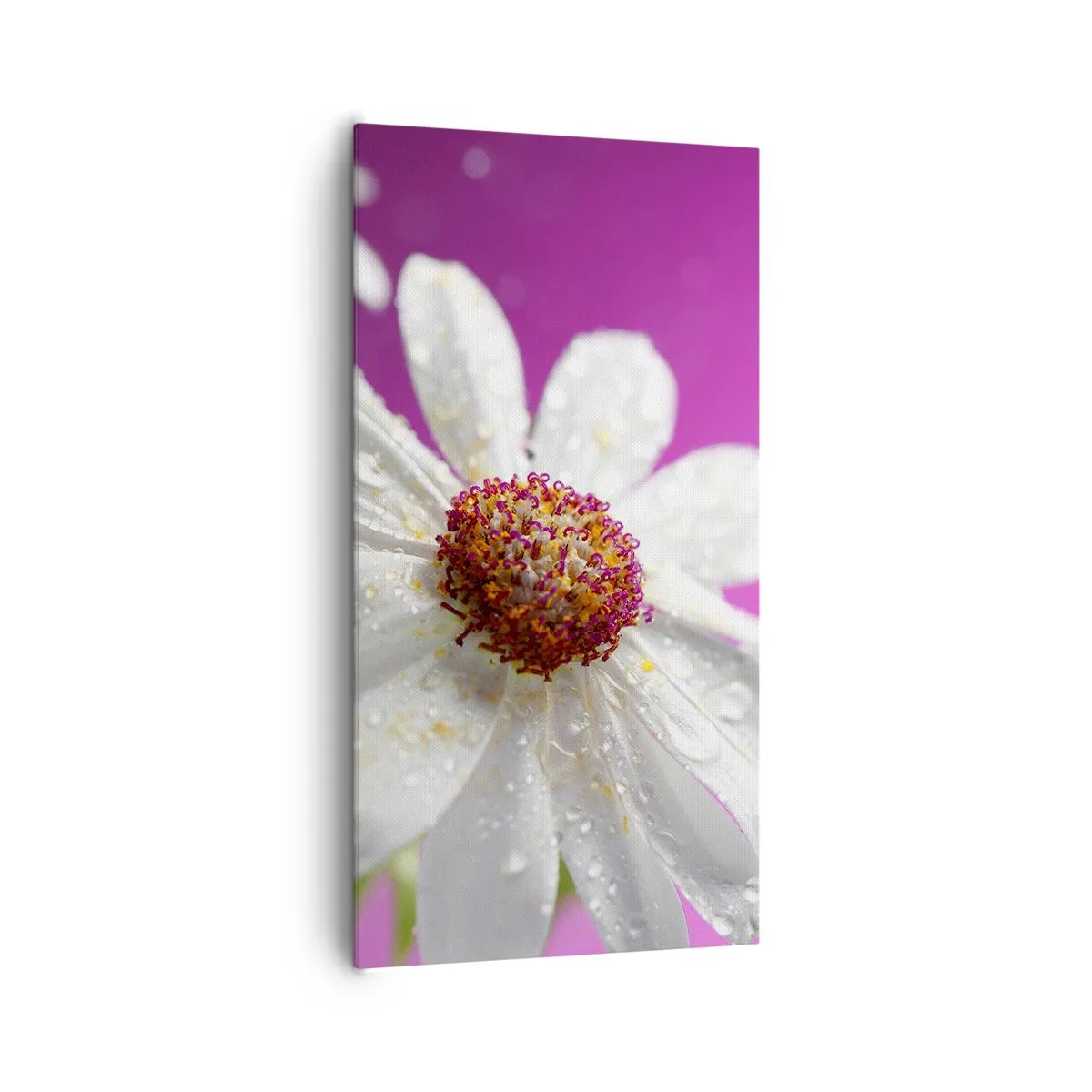 Vászonkép - A Szépségében szerény - 65x120 cm