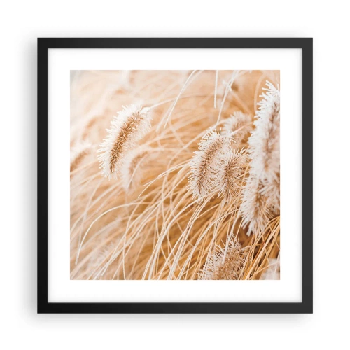 Poszter fehér keretben - A fű arany susogása - 40x40 cm