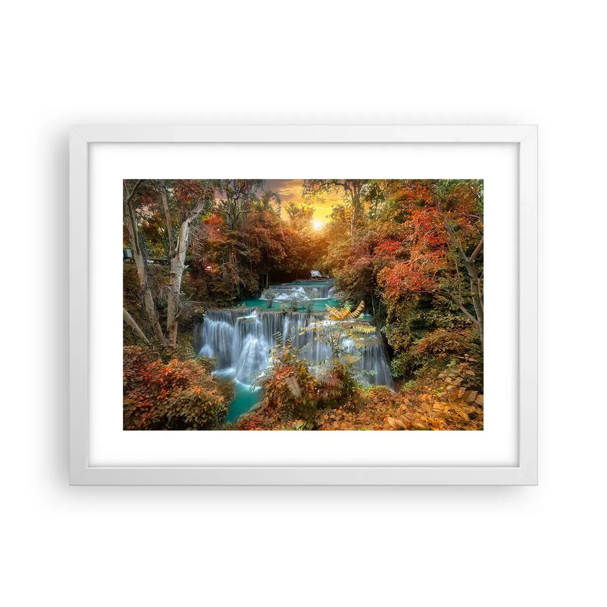 Poszter fekete keretben - Az erdő rejtett kincse - 40x30 cm