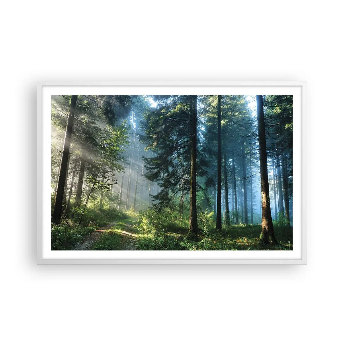 Poszter fekete keretben - Sugárzó reggel - 91x61 cm