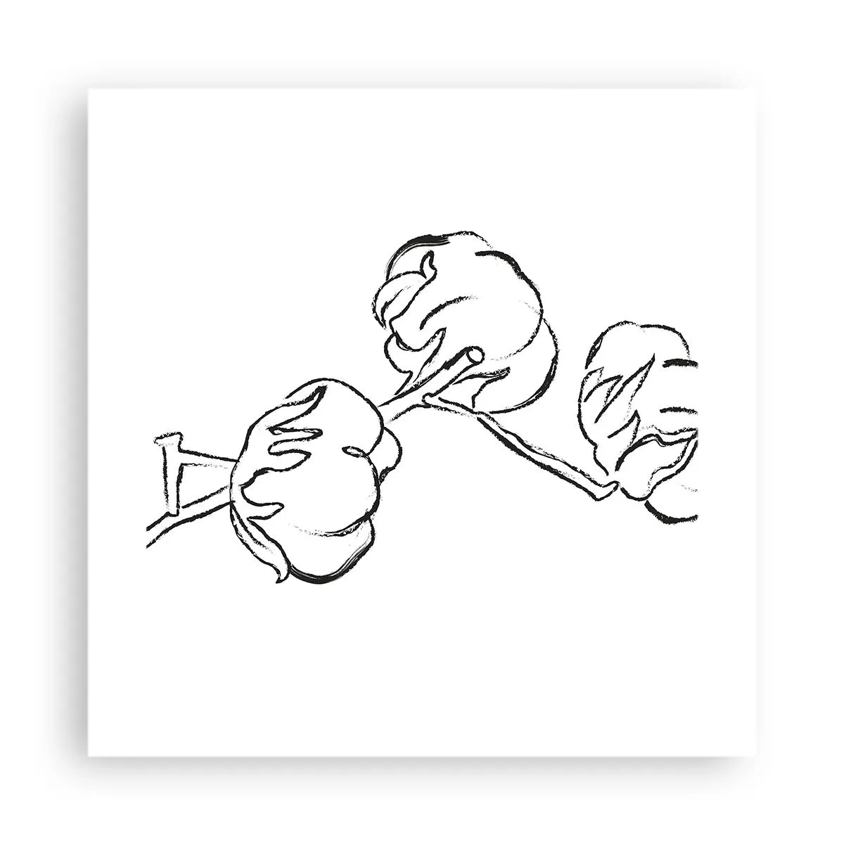 Poszter - Pamut pehely - 40x40 cm