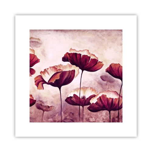 Poszter - Piros és fehér szirom - 30x30 cm