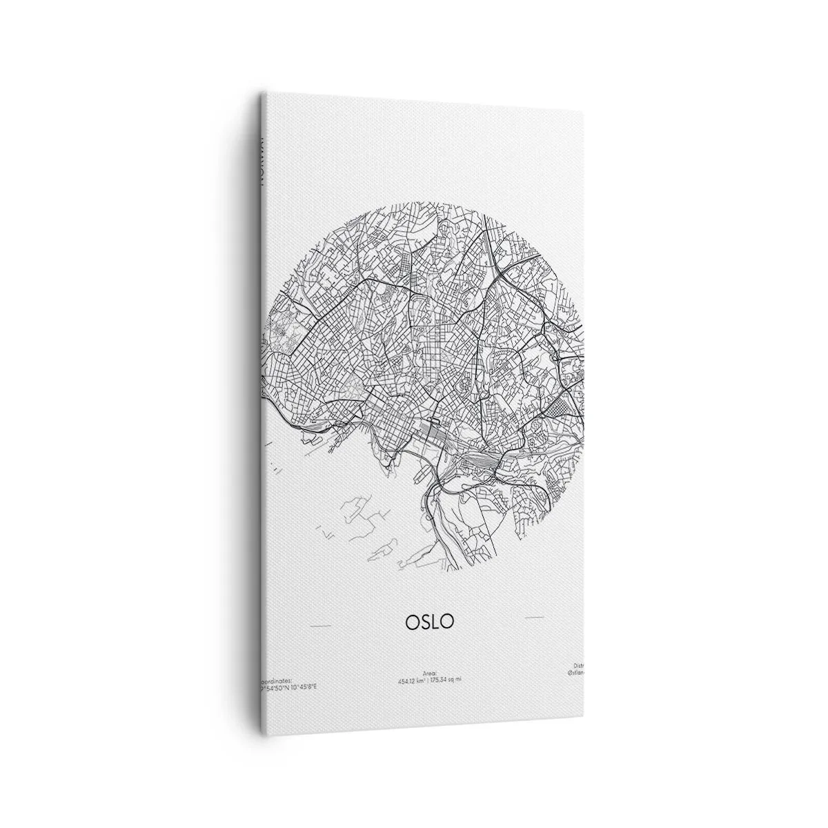 Vászonkép - Oslo anatómiája - 45x80 cm