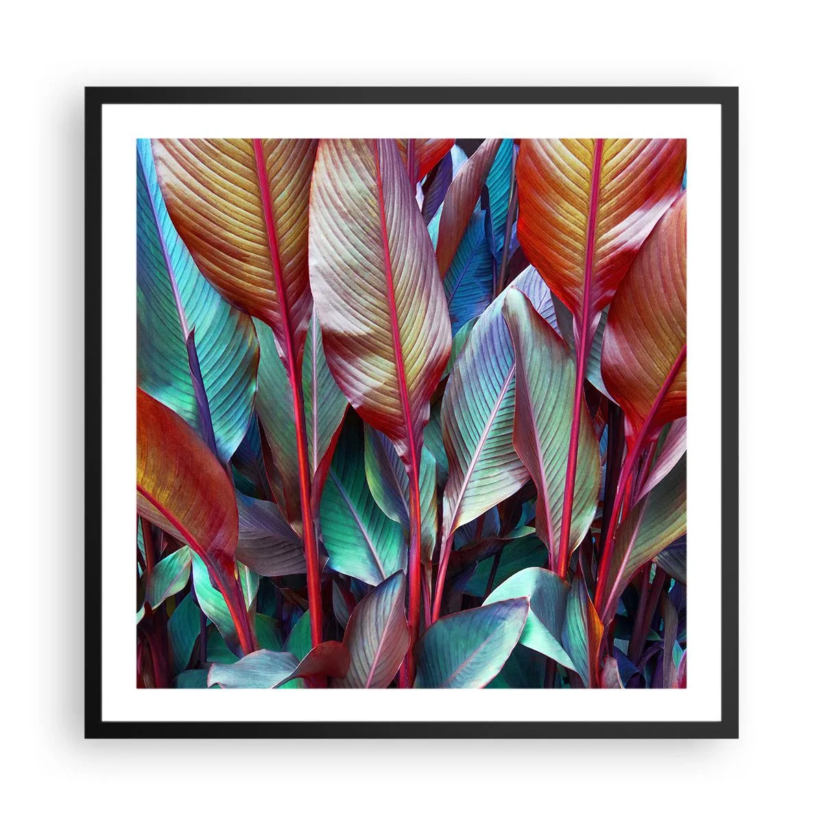 Poszter fehér keretben - Egy színes sűrű - 60x60 cm