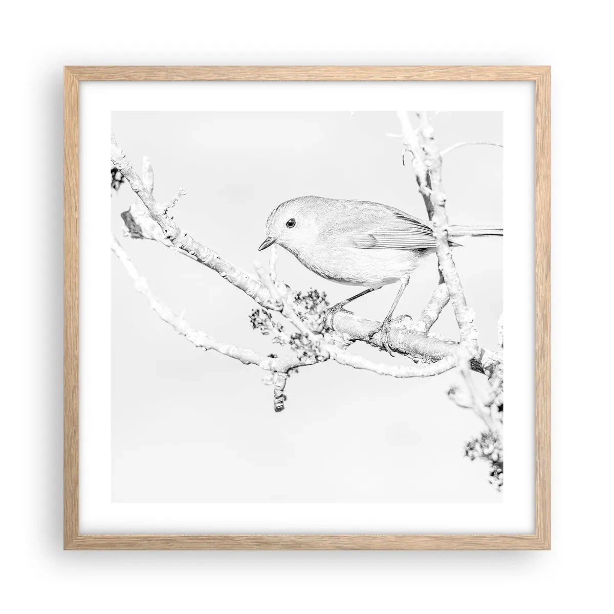 Poszter világos tölgy keretben - Téli reggel - 50x50 cm