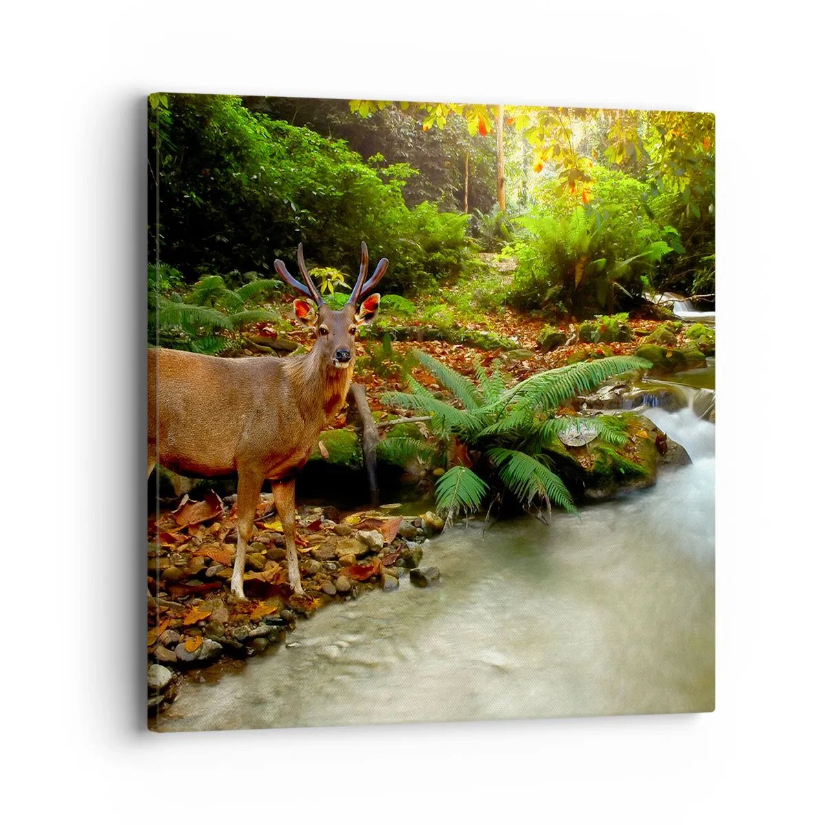 Vászonkép - üdvözöllek a világomban - 40x40 cm