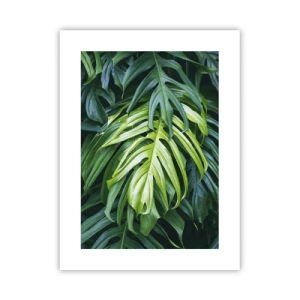 Poszter - Merüljön el a frissességben - 30x40 cm