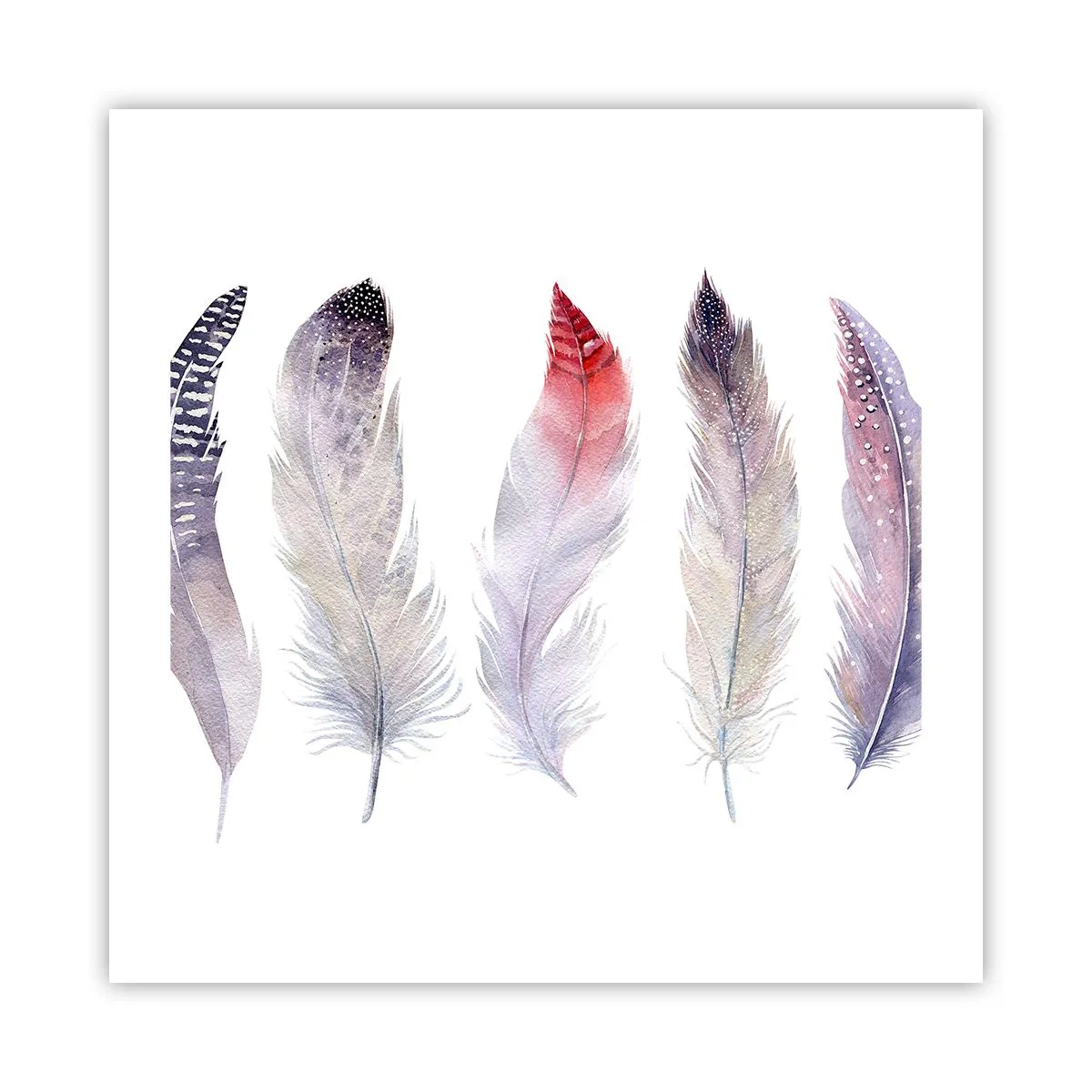 Poszter - Gyengéd, mint a sokszínű köd - 50x50 cm