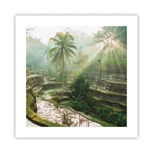 Poszter - Felnőni a napon - 40x40 cm