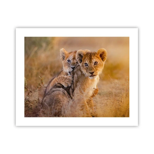 Poszter - Ne zavarni! Szórakozunk - 50x40 cm