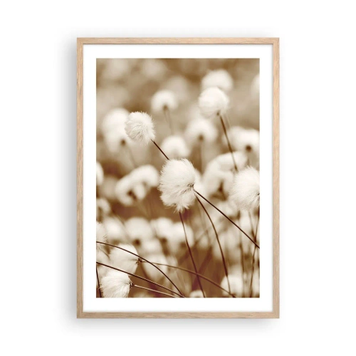 Poszter világos tölgy keretben - Bolyhos termés - 50x70 cm
