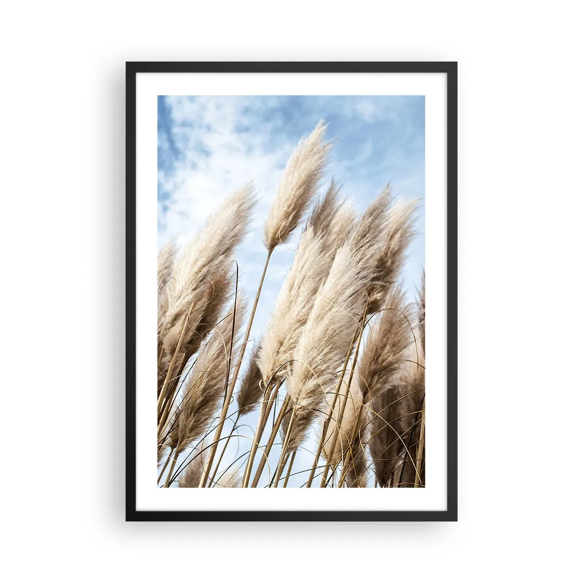 Poszter fehér keretben - Pampa fű az ég ellen - 50x70cm - Napos és szeles simogatás - Modern fali dekoráció nappalihoz és hálószobához ARTTOR