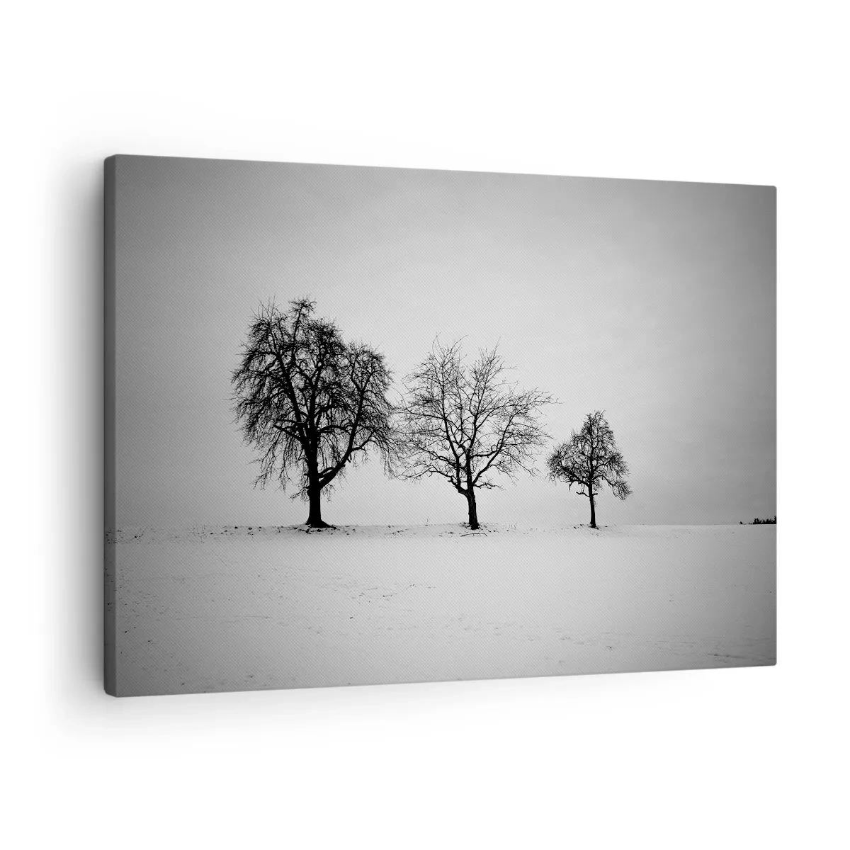 Vászonkép - Három fa egy havas mezőn monokróm stílusban - 70x50cm - Miről álmodoznak? - Modern fali dekoráció nappalihoz és hálószobához ARTTOR