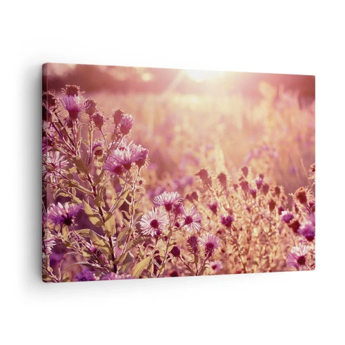 Vászonkép - Rét a lenyugvó nap fényében - 70x50cm - A nyár elmúlás előtt - Modern fali dekoráció nappalihoz és hálószobához ARTTOR