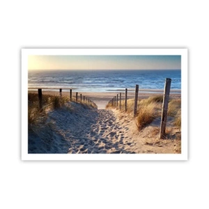 Poszter - A tenger hangja, a madarak éneke, egy vad tengerpart a fű között... - 91x61 cm