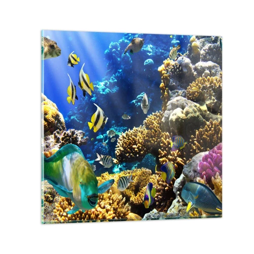 Üveg kép - Nagy forgalom a nyaraló ösvényen - 50x50 cm