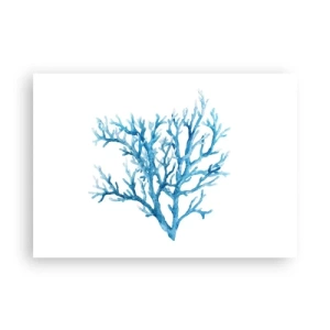 Poszter - Tengeri filigrán - 100x70 cm