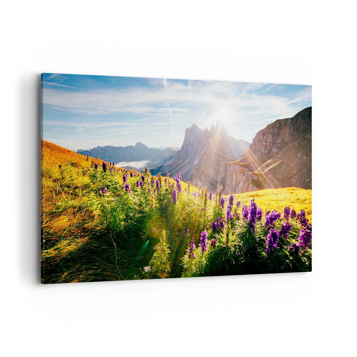 Vászonkép - A gyógynövények titkos élete - 120x80 cm