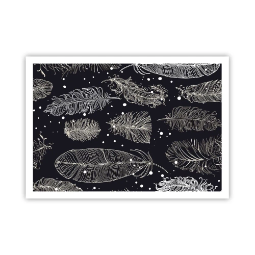 Poszter - Tollas csipke - 100x70 cm