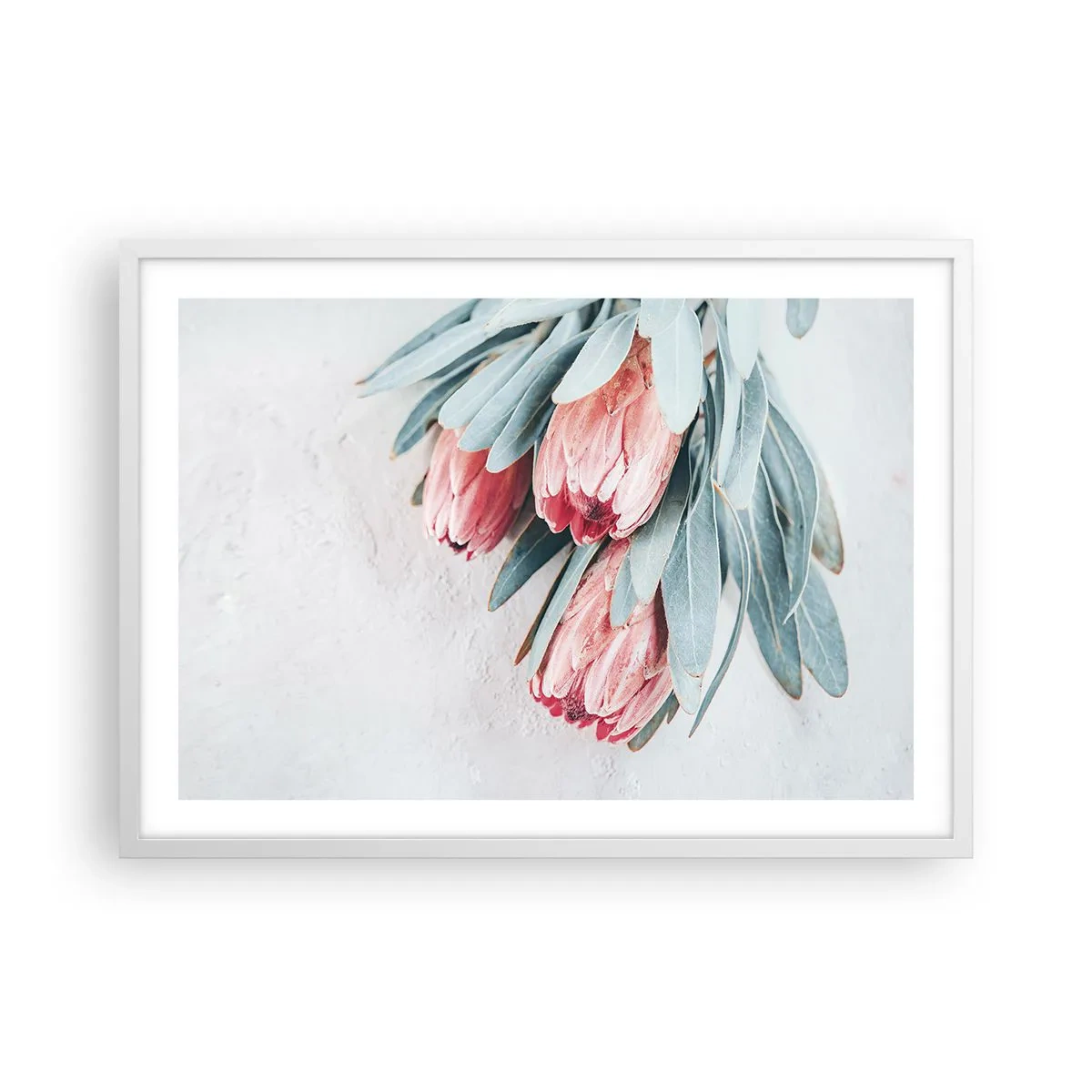 Poszter fekete keretben - Szégyellve saját szépségüket - 70x50 cm