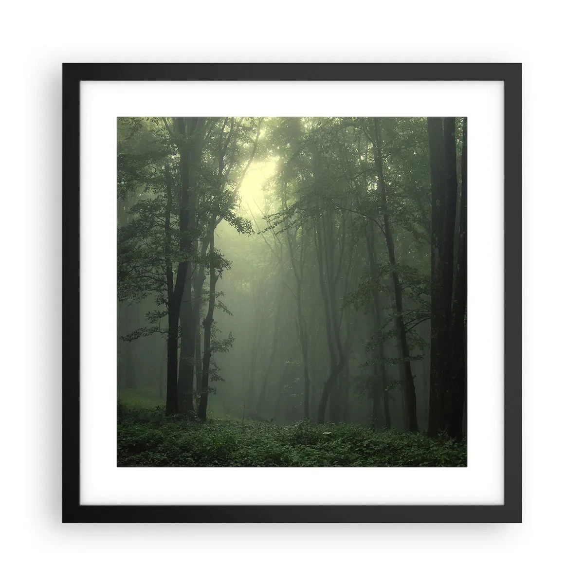 Poszter fehér keretben - Mielőtt felébred - 40x40 cm