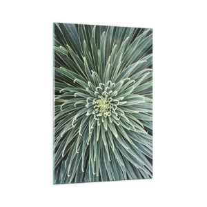 Üveg kép - Csillag születik - 70x100 cm